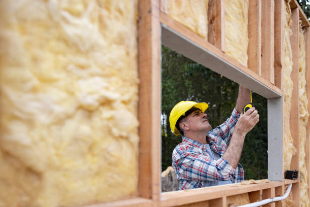 Best Insulation for Existing Homes  in Litchfield Park, AZ